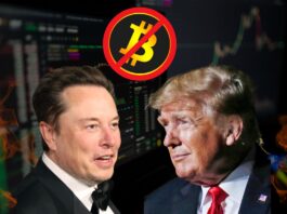 Trump and elon on bitcoin