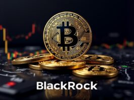 BlackRock & Bitcoin