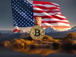 US elections crypto