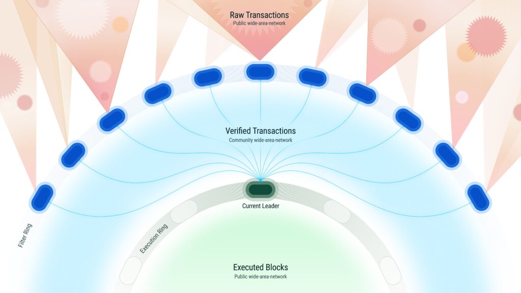 DoubleZero network transaction flow showing raw transactions from the public wide-area network filtered through the filter ring, verified in the community wide-area network, and executed as blocks by the current leader.